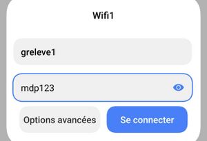 ScreenPhoneWifi1.1.jpg