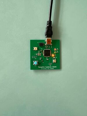 WhatsApp Image 2024-05-29 at 23.41.58 (1).jpg