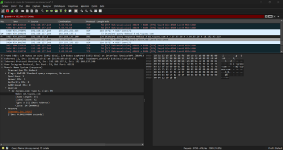 Echange d'informations DNS