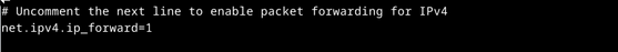 Ip forward.png