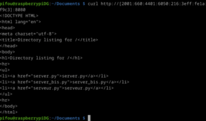 Test accès serveur avec curl.png