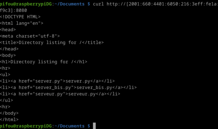 Test accès serveur avec curl.png