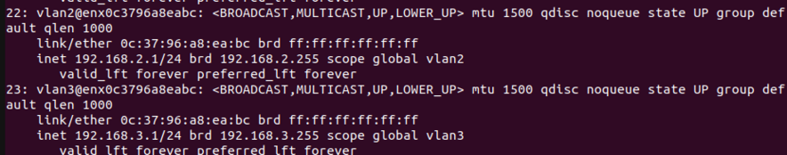 Interfaces vlans ip a.png