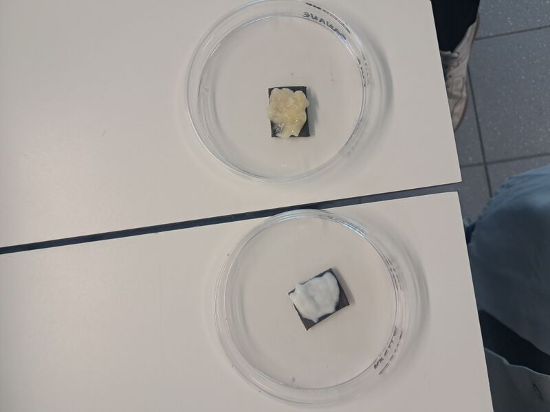 Fichier:Cuir + aliment.jpg