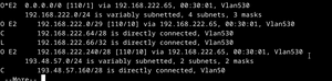 affichage du routeur ospf (ip route)