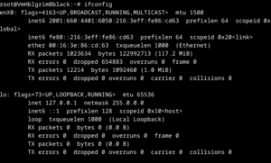 IfconfigVM.png