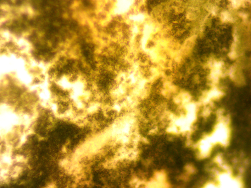 Fichier:Dessus 20 12.png