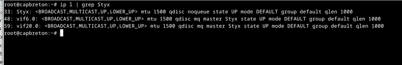 Fichier:Ip l grep bridge.png