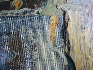 Observation processeur microscope2