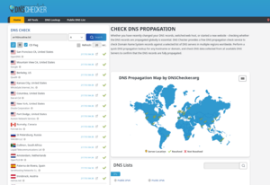 DNS Check.png