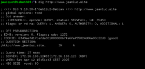 Dig http---jeanluc.site.png