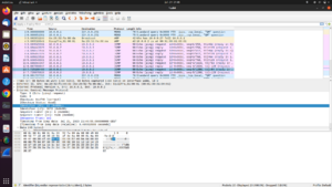 Wireshark capture ecran.png