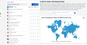 Image apollo dns checker.png