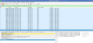 Wireshark.png