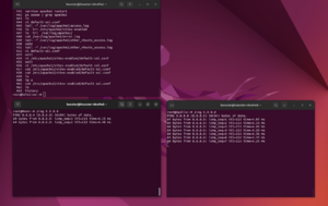 Image ping apollo et moon.png