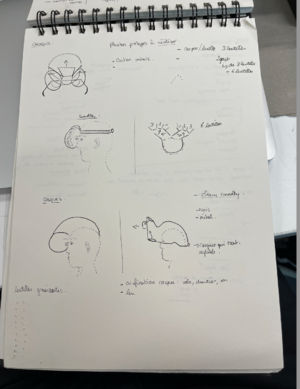 Capture d’écran 2024-01-25 à 11.42.41.png