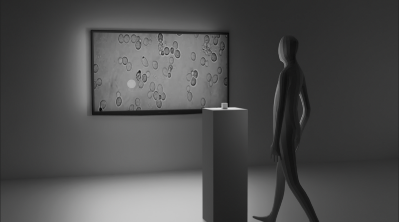 Fichier:Modélisation 3D scéno.png