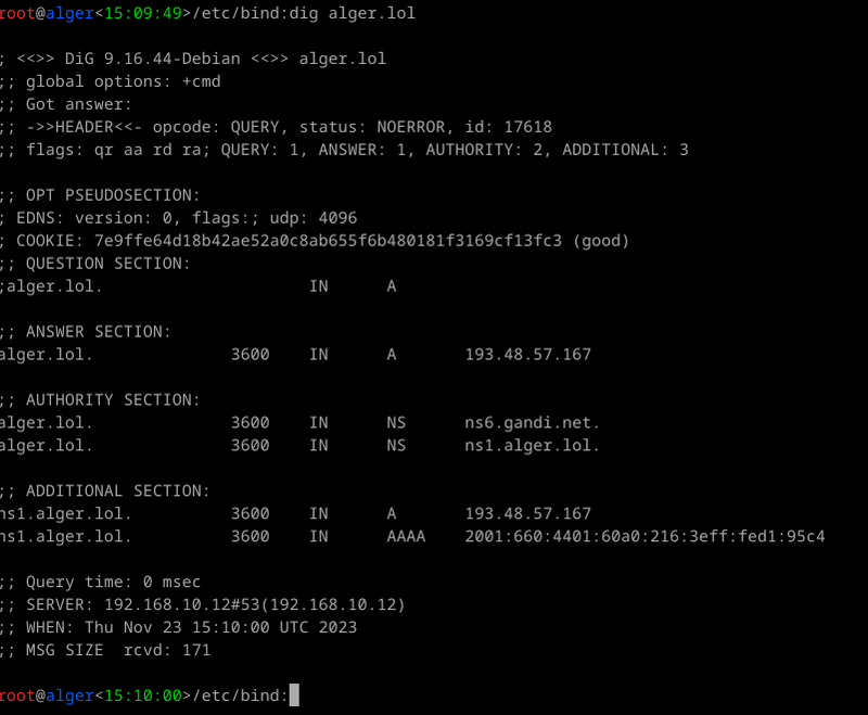 dig @localhost alger.lol OK