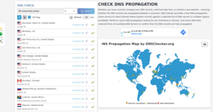 Image moon dns check.png